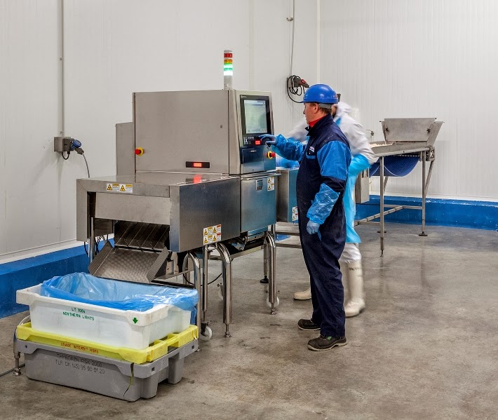 Seafood packer invests In X-Ray Inspection of scallops