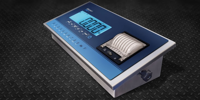 New Baxtran GI410i PRINT Digital LCD Indicator with Printer