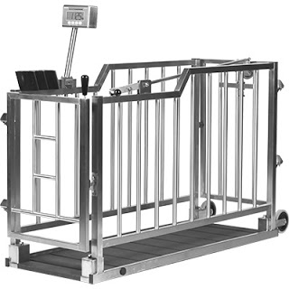 New video about the Bosche’s livestock scale