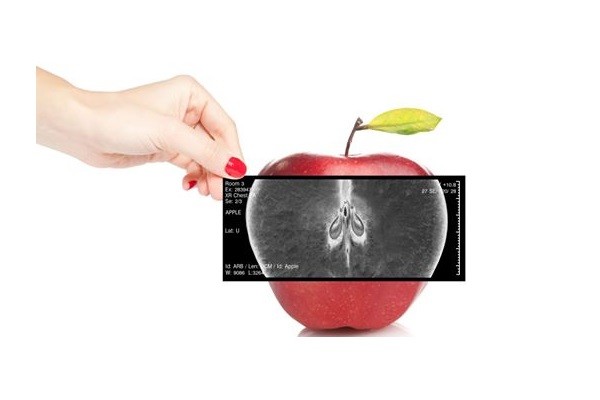 Job Offer by Loma Systems / Lock Inspection - Senior Software Engineer