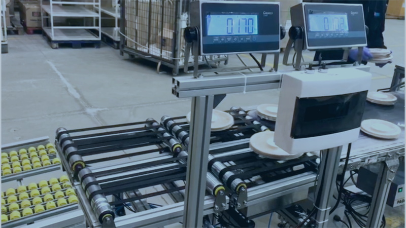 Giropes' Weight Sorting System in a Packaging Line