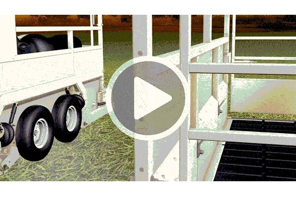 New Cardinal Scale Weight Wrangler Competitive Advantages Video