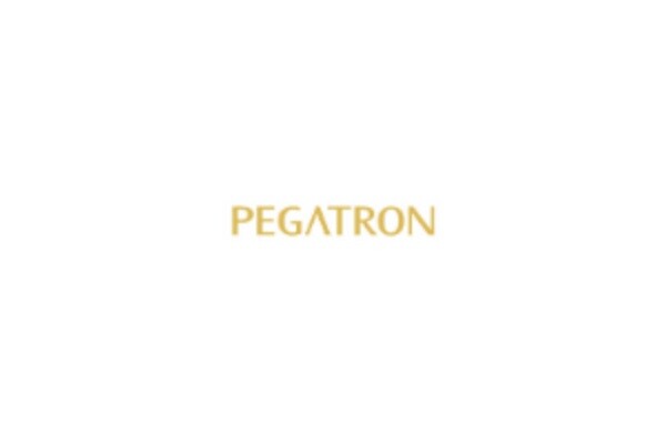 World's Second-largest Contract Electronics Manufacturer PEGATRON Group Vietnam Branch Adopts EXCELL's Advanced Weighbridge Solution