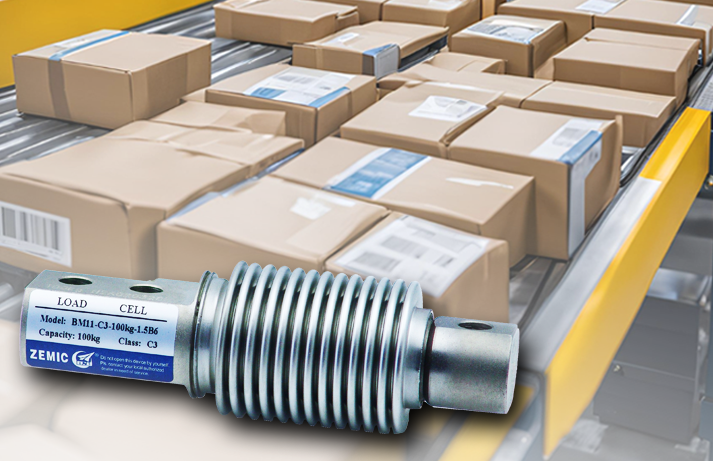 Zemic Load Cells used in DWS Systems