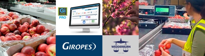 Giropes Case Study: Innovation in a Weighing Production Line in Australia
