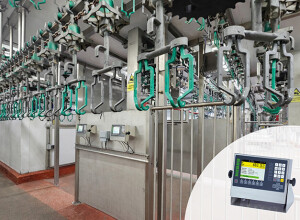 SysTec Weighing Solutions for Poultry Processing Lines at Noble Foods