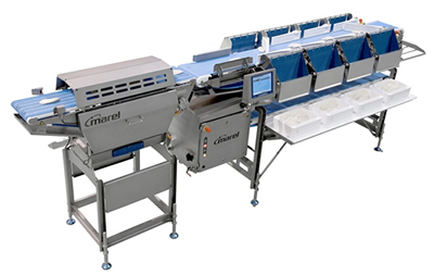 Marel Launches SmartLine Grader