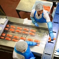 Ishida solution meets fixed-weight fish challenge for Deutsche See