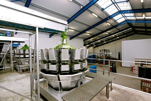 Spinach handling expert chooses Ishida